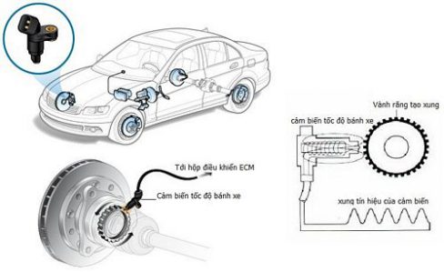 cảm biến tốc độ bánh xe